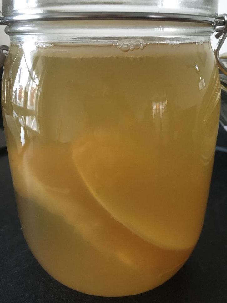 Jun SCOBY- gemaakt met biologische ingrediënten, Diversen, Levensmiddelen, Ophalen of Verzenden