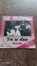 The Picknicks - I'm So Alone, Cd's en Dvd's, Gebruikt, 7 inch, Single, Ophalen of Verzenden