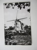 ansichtkaart Rhenen, Panorama Molen., Verzenden, 1960 tot 1980, Ongelopen, Utrecht