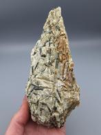 Actinoliet - Schrempg, Stubachtal, Oostenrijk, Ophalen of Verzenden, Mineraal