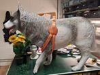 Te Koop Husky hond 110Lx80Hx24B, Ophalen of Verzenden, Zo goed als nieuw, Dier