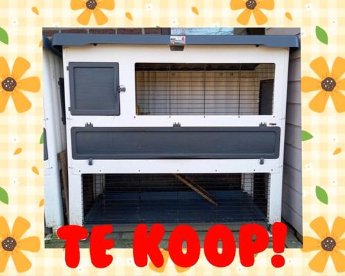 Uitverkoop buitenhokken - veel keus!, Dieren en Toebehoren, Knaagdieren en Konijnen | Hokken en Kooien, Zo goed als nieuw, Hok