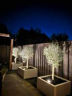Micto plantenbakken als eyecatcher, 100 cm of meer, Vierkant, Nieuw, Metaal