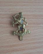 Petinsigne, Embleem uit de Tweede Wereldoorlog, Nederland, Ophalen of Verzenden, Overige soorten, Nederland, Embleem of Badge