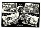 Slagharen KVR21 1744 5 Foto's van Pony Park Slagharen, Gelopen, Overijssel, Verzenden, 1980 tot heden