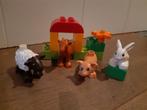 Lego Duplo boerderijdieren, Ophalen of Verzenden, Zo goed als nieuw, Complete set, Duplo