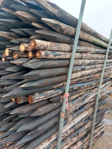 Weidepaal teerpaal boompaal fruitpaal palen  beschikbaar voor biedingen