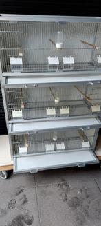 3 nette en complete trespa aluminium broedkooien, Dieren en Toebehoren, Vogels | Hokken en Kooien, Broedkooi of Kweekkooi, Gebruikt
