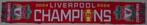 sjaal Liverpool Champions 24/25, Verzamelen, Sportartikelen en Voetbal, Ophalen of Verzenden, Nieuw, Buitenlandse clubs, Vaantje of Sjaal