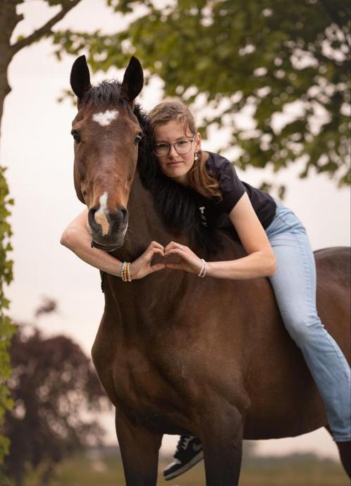 Tijdelijk bijrijd paard gezocht!, Dieren en Toebehoren, Paarden en Pony's | Verzorgingsproducten, Ophalen of Verzenden