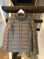 Khaki Tommy Hilfiger jas maat M/L, Maat 38/40 (M), Ophalen of Verzenden, Gedragen, Groen