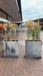 Gratis ophalen plantenbakken, Ophalen, Kunststof, Gebruikt, Vierkant