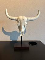 Decoratie schedel, Huis en Inrichting, Ophalen of Verzenden, Gebruikt