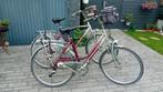 2 x Gazelle Geneve Fietsen Zeer mooie fietsen, Fietsen en Brommers, Ophalen, 53 tot 56 cm, Versnellingen, Zo goed als nieuw