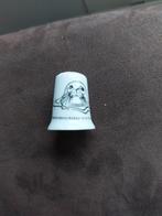 Vingerhoedje Pieterburen, Ophalen of Verzenden, Gebruikt, Porselein, Nederland