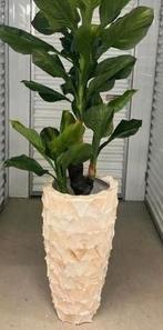 GEZOCHT deze vaas, Steen, Minder dan 30 cm, Rond, Ophalen of Verzenden