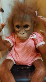 New born todler  orang oetang / Ashton drake galleries, Ophalen, Zo goed als nieuw