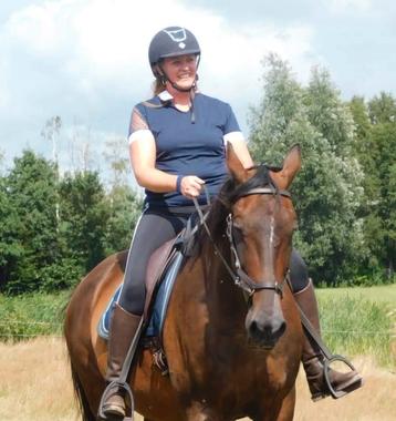 JouwKoersCentraal, verbinden met paarden beschikbaar voor biedingen