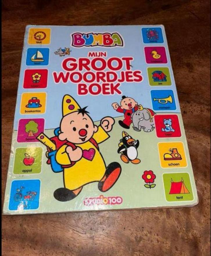 Leesboek BUMBA Mijn groot woordjesboek, Boeken, Kinderboeken | Baby's en Peuters, Zo goed als nieuw, 1 tot 2 jaar, Uitklap-, Voel- of Ontdekboek
