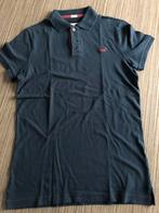 Polo Hollister maat s, Kleding | Heren, Blauw, Ophalen of Verzenden, Zo goed als nieuw, Hollister