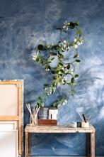 Planten klimrek | Mica support drop 3x, Overige soorten, Minder dan 100 cm, Groene kamerplant, Halfschaduw