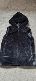 Nieuw Bont bodywarmer maat 34/36, Kleding | Dames, Ophalen of Verzenden, Zo goed als nieuw, Maat 34 (XS) of kleiner, Zwart