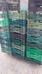 plantenkratten, 36 stuks 1.00 per stuk, Ophalen, Gebruikt, Overige typen