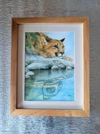 Sue Coleman - Aquarel Poema van een Poema, Ophalen of Verzenden