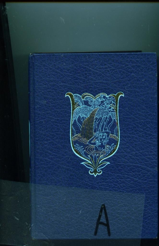 Celeste de Blasis - Vaya Con Dios- HC, Verzenden, Gelezen