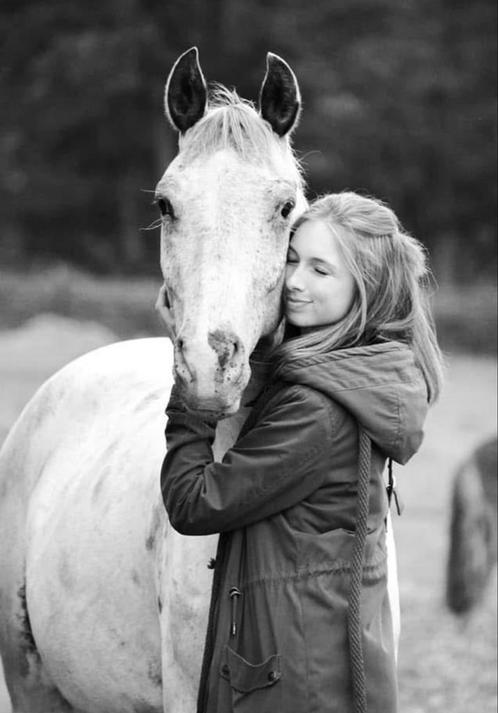 Verzorgpaard gezocht, Dieren en Toebehoren, Paarden en Pony's | Verzorgingsproducten, Zo goed als nieuw, Ophalen