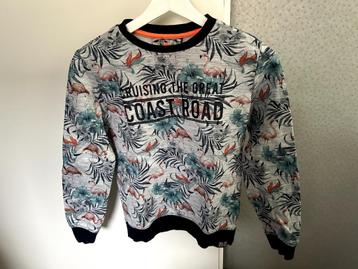 Sweater flamingo maat 146/152 WE fashion   beschikbaar voor biedingen