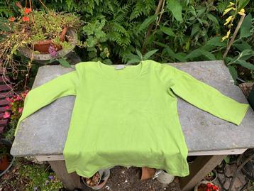 Essentials T-shirt, Lime Groen, Maat 40 beschikbaar voor biedingen
