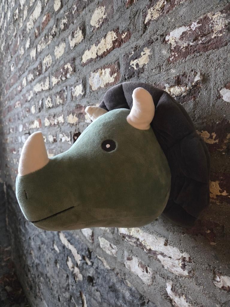 WANDDECORATIE - DINO, Ophalen of Verzenden, Zo goed als nieuw, Wanddecoratie