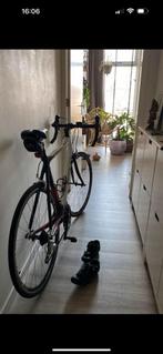 Fiets Ridley, Ophalen, Zo goed als nieuw, Carbon, Overige merken