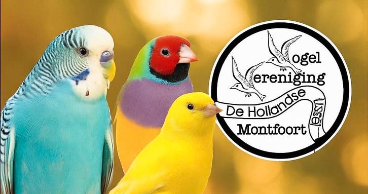 Inschrijving regio vogeltentoonstelling Montfoort 2025, Dieren en Toebehoren, Vogels | Kanaries