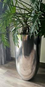 Hoge bladzilver binnen vaas 90cm met philodendron Xanadu, Ophalen, Kunststof, Overige kleuren, Zo goed als nieuw