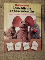 Sesamstraat, Boeken, Kinderboeken | Baby's en Peuters, Ophalen of Verzenden, Zo goed als nieuw