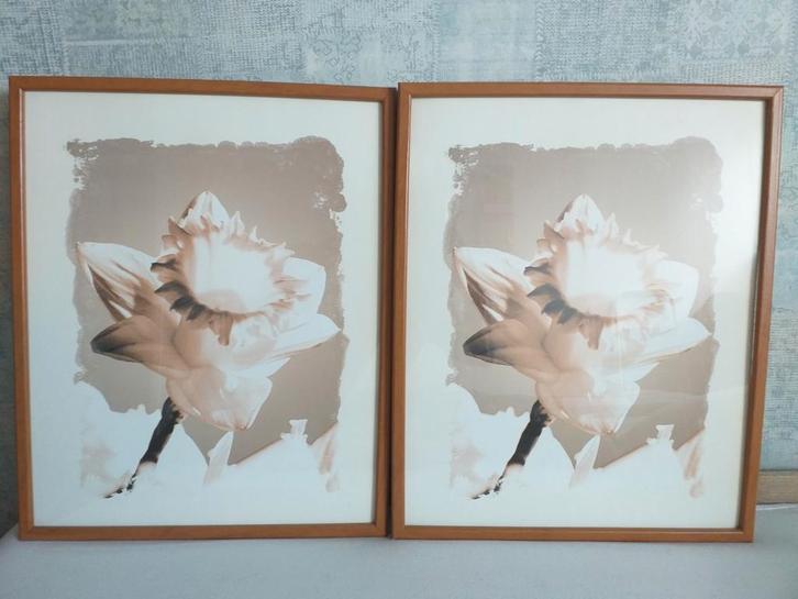 2 mooie schilderijen - prenten in houten lijst (15 euro pst), Huis en Inrichting, Woonaccessoires | Schilderijen, Tekeningen en Foto's