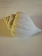 Decoratieve Schelp - Stijlvol Woonaccessoire, Tuin en Terras, Tuinbeelden, Ophalen, Gebruikt, Beton, Overige typen