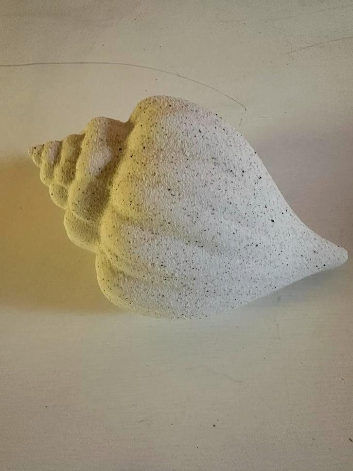 Decoratieve Schelp - Stijlvol Woonaccessoire, Tuin en Terras, Tuinbeelden, Gebruikt, Overige typen, Beton, Ophalen