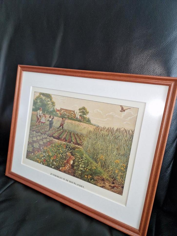 Cornelis Jetses Litho - Junimorgen in de Bouwlanden, Antiek en Kunst, Kunst | Litho's en Zeefdrukken, Ophalen of Verzenden