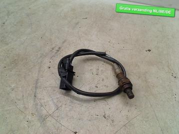 LAMBDASONDE Fiat Doblo Cargo (263) (55210949) beschikbaar voor biedingen