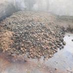 Gratis paardenmest, Ophalen, Tuinaarde