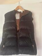 Zwarte bodywarmer met bruine voering Maison Scotch, Verzenden, Zo goed als nieuw, Maat 38/40 (M), Zwart