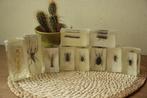 Taxidermie Opgezette Insecten in hars, Ophalen of Verzenden, Zo goed als nieuw, Insect, Opgezet dier