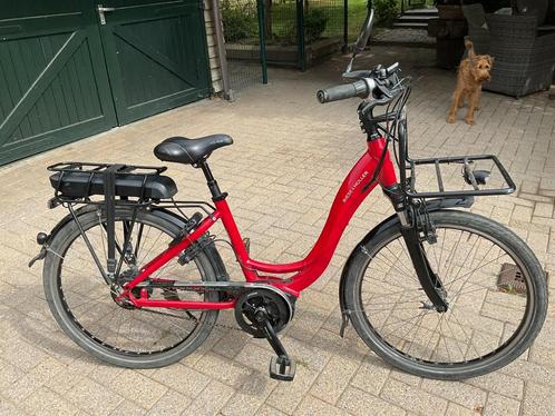 Riese Muller Swing, Fietsen en Brommers, Elektrische fietsen, Gebruikt, Riese & Müller, Minder dan 47 cm, 50 km per accu of meer