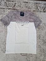 Hollister california T-shirt heren maat M wit/grijs, Maat 48/50 (M), Wit, Ophalen of Verzenden, Zo goed als nieuw