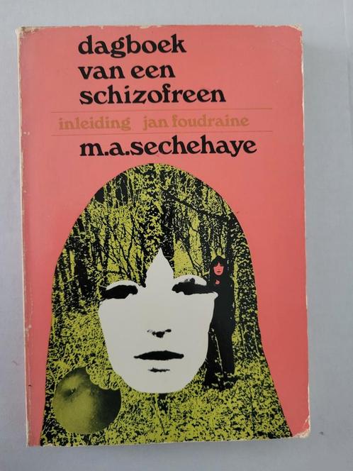 dagboek van een schizofreen, Boeken, Sprookjes en Fabels, Gelezen, Ophalen of Verzenden