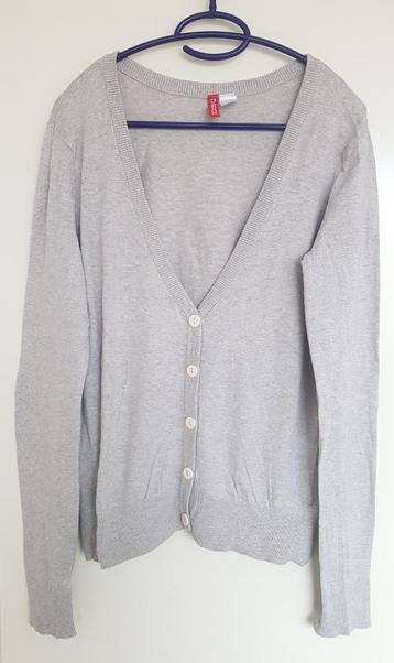 Vest maat L merk H&M beschikbaar voor biedingen