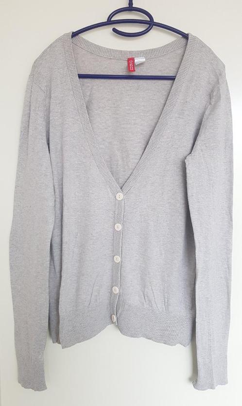 Vest maat L merk H&M, Kleding | Dames, Truien en Vesten, Gedragen, Maat 42/44 (L), Grijs, Ophalen of Verzenden